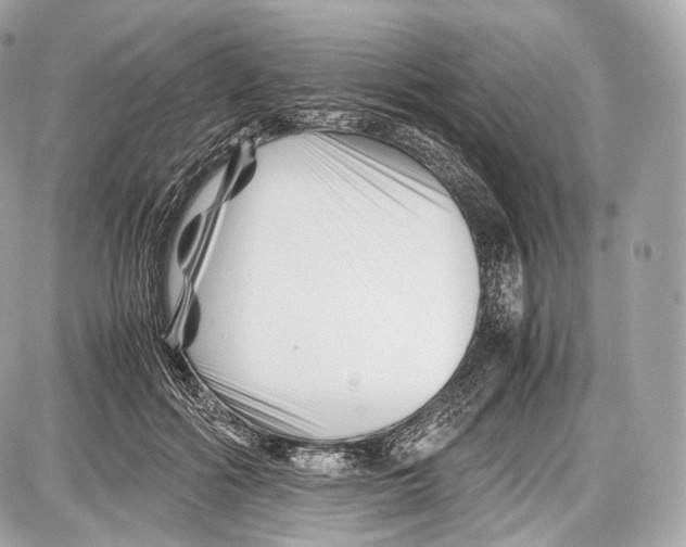 X0000086960602200705141628