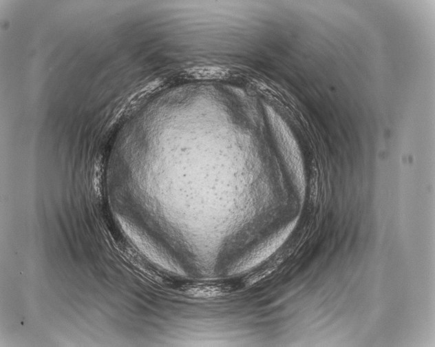 X0000086960604200705141628