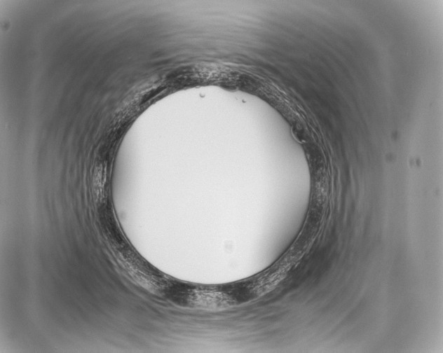 X0000086960605200705141628