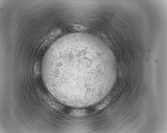 X0000086960606200705141627