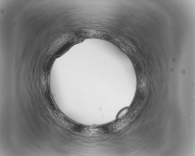 X0000086960607200705141627