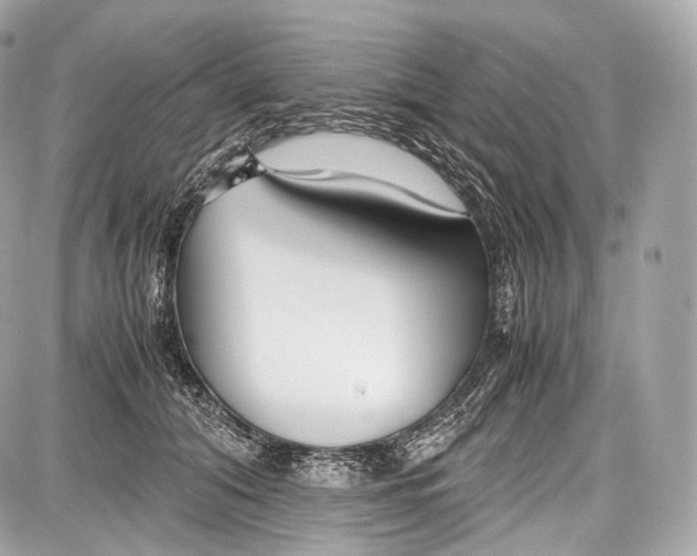 X0000086960608200705141627