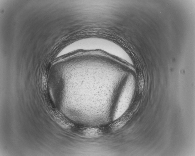 X0000086960609200705141627