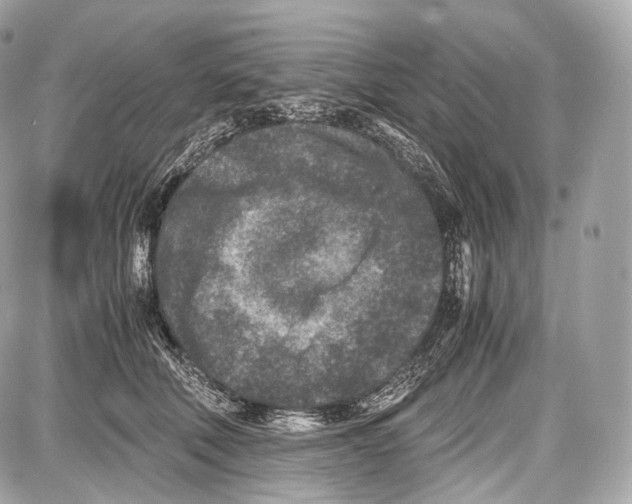 X0000086960610200705141627