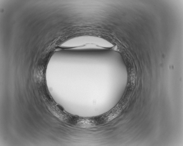 X0000086960611200705141627