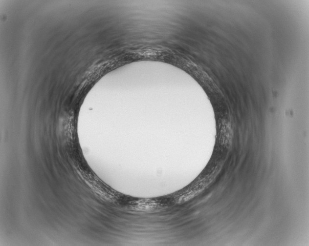 X0000086960612200705141627