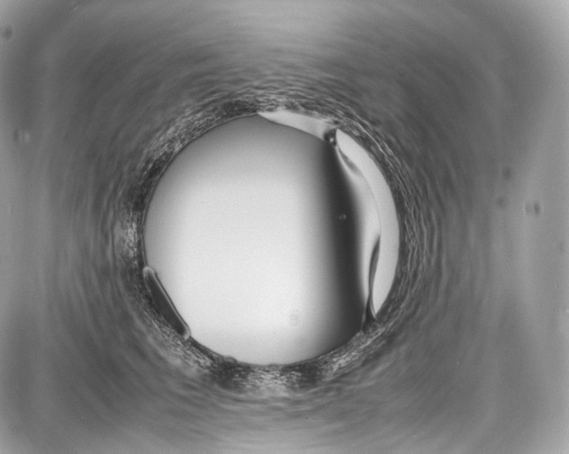 X0000086960613200705141627