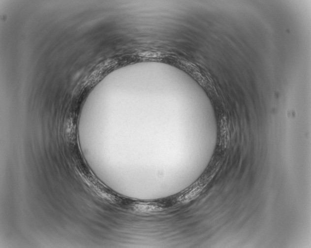 X0000086960614200705141627