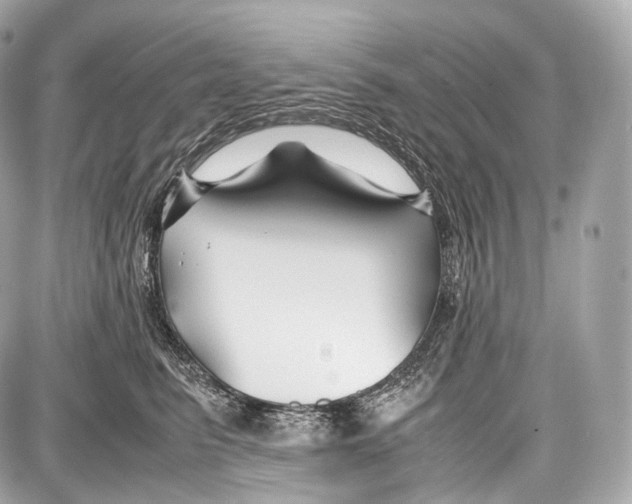 X0000086960615200705141627