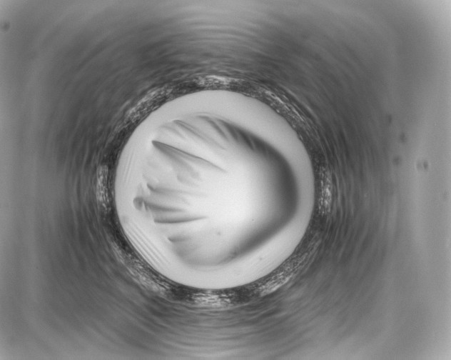 X0000086960616200705141627