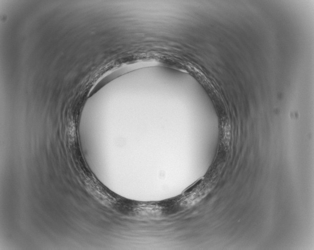 X0000086960617200705141627