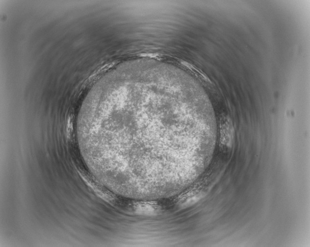 X0000086960618200705141627