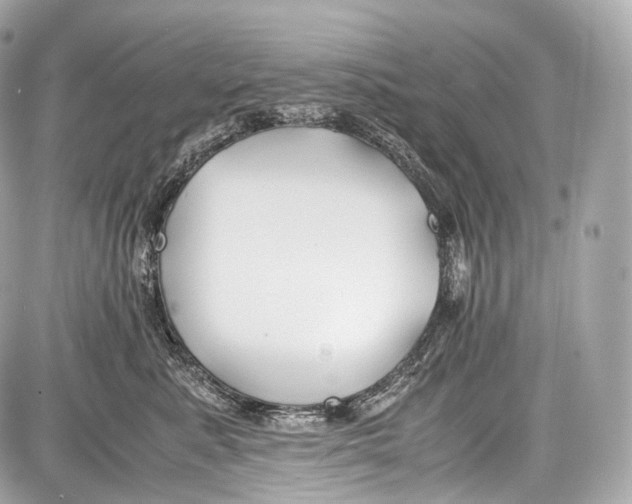 X0000086960619200705141627