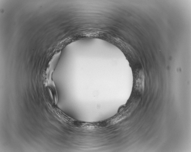 X0000086960620200705141627