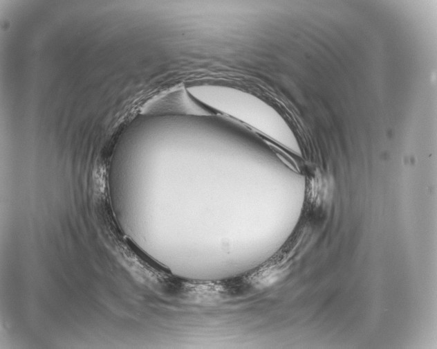 X0000086960621200705141627