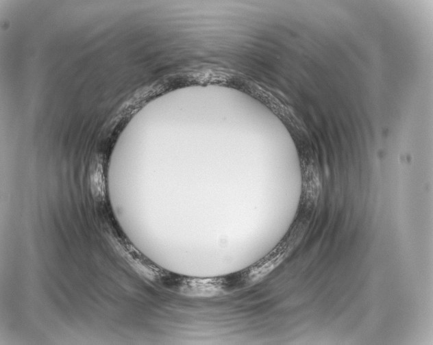 X0000086960622200705141627