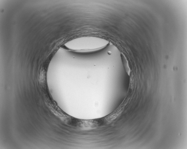 X0000086960623200705141627