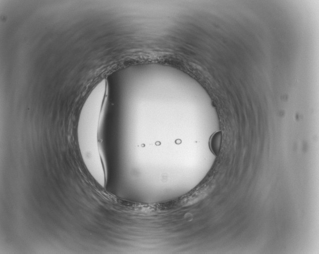 X0000086960624200705141627