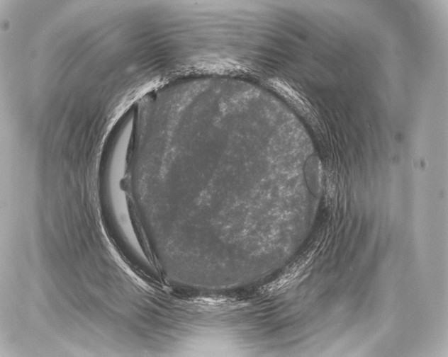 X0000086960630200705141627