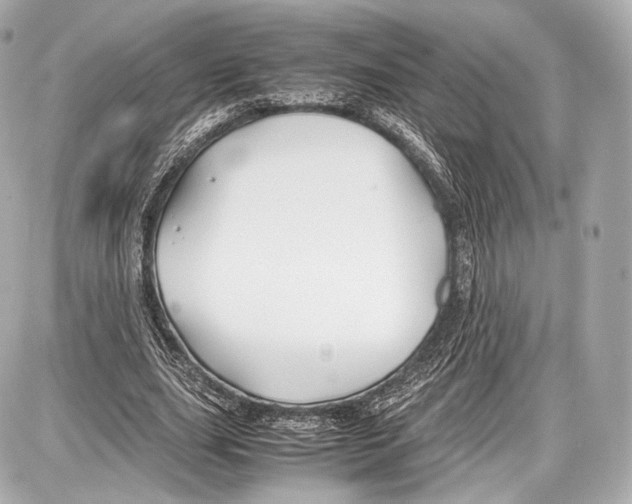 X0000086960631200705141627