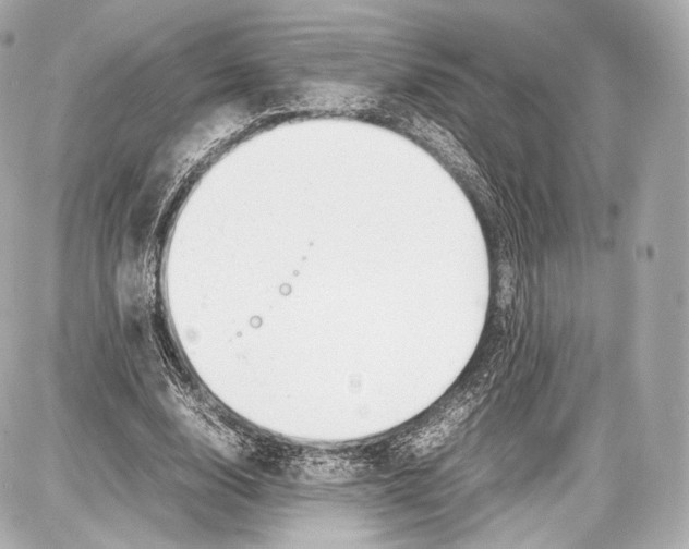 X0000086960632200705141627