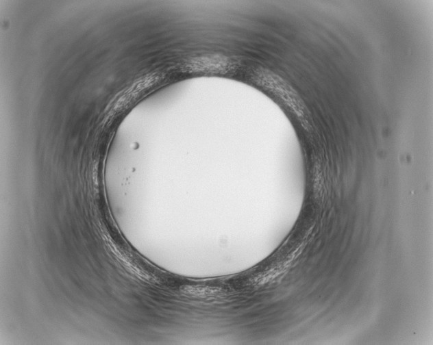 X0000086960633200705141627