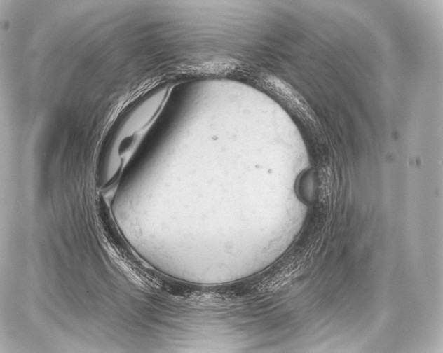 X0000086960634200705141627