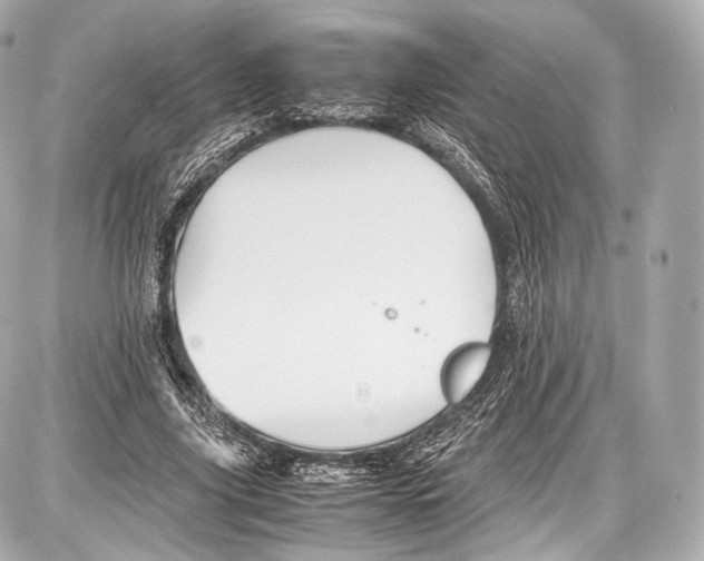 X0000086960635200705141627