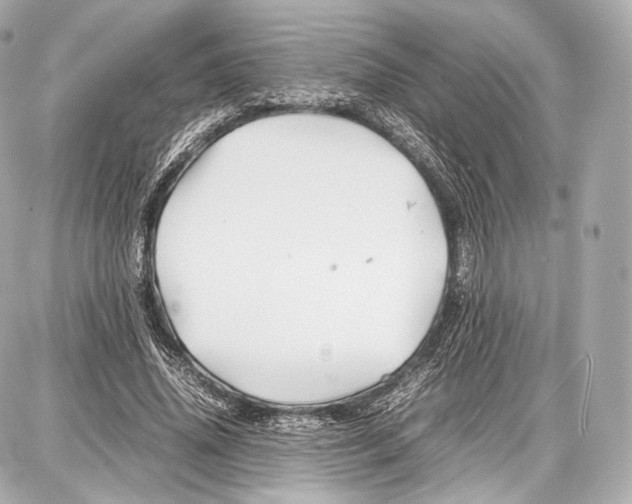 X0000086960636200705141627