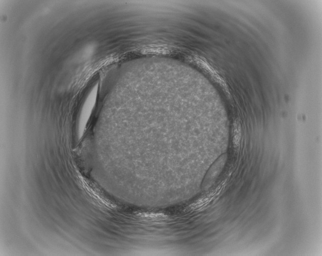 X0000086960637200705141627