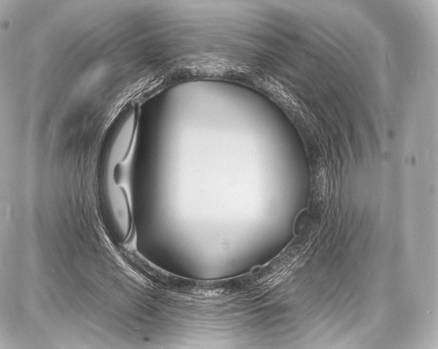 X0000086960638200705141627