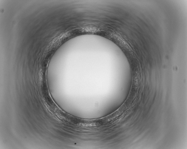 X0000086960639200705141627