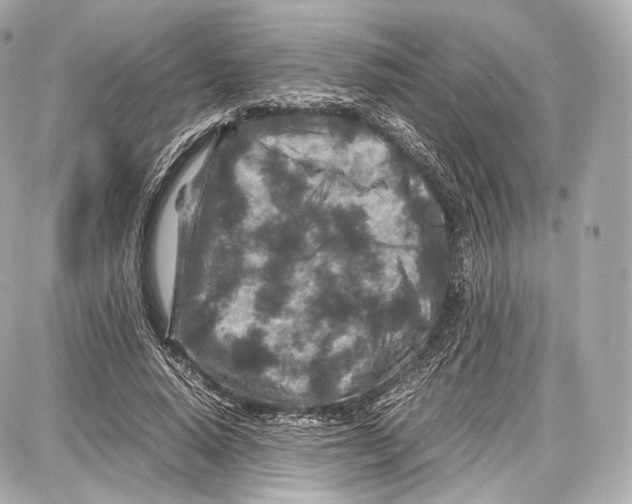 X0000086960640200705141627