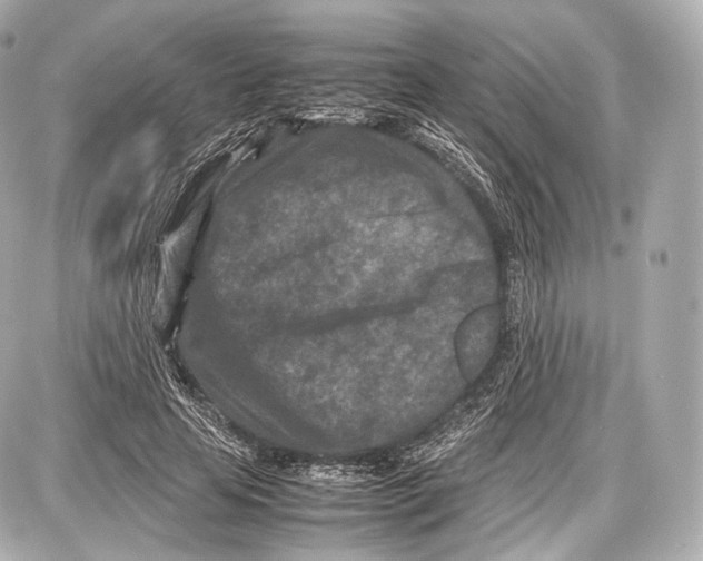 X0000086960641200705141627