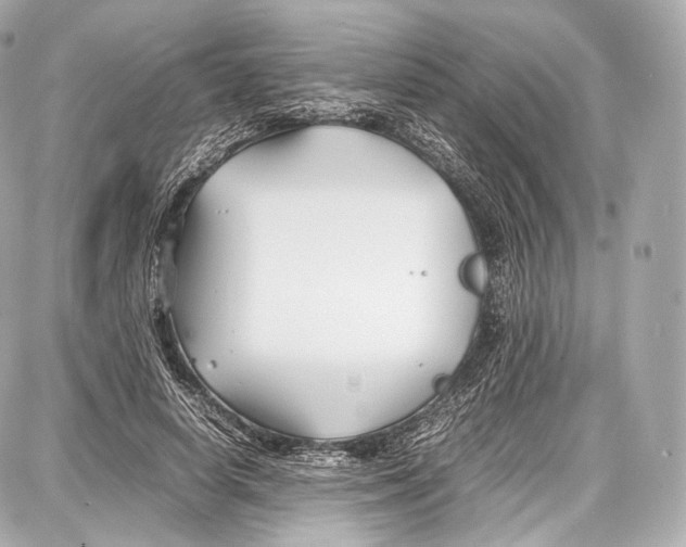 X0000086960642200705141627