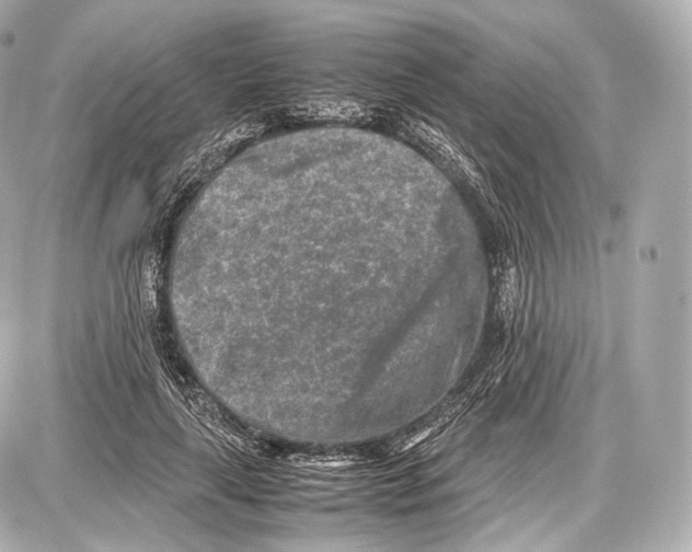 X0000086960643200705141627