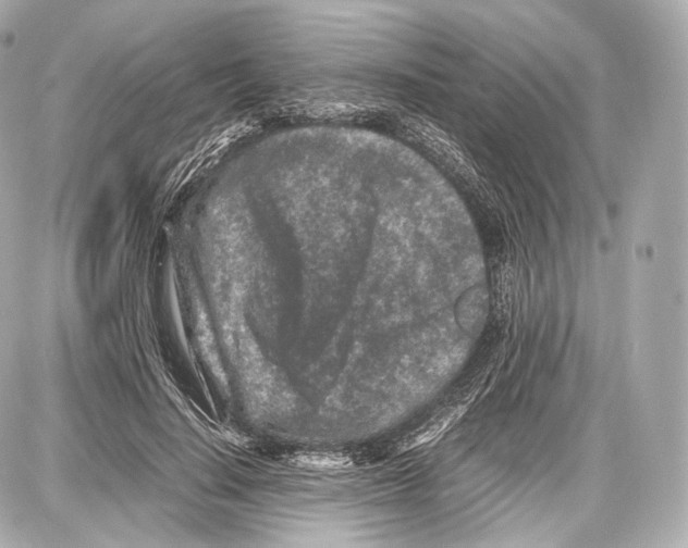 X0000086960644200705141627