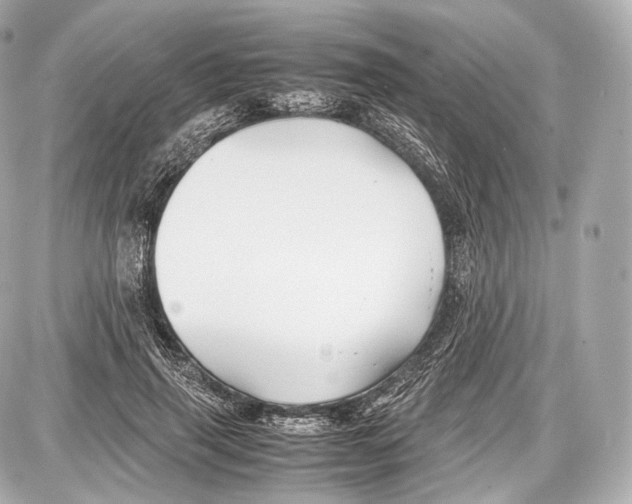 X0000086960645200705141627