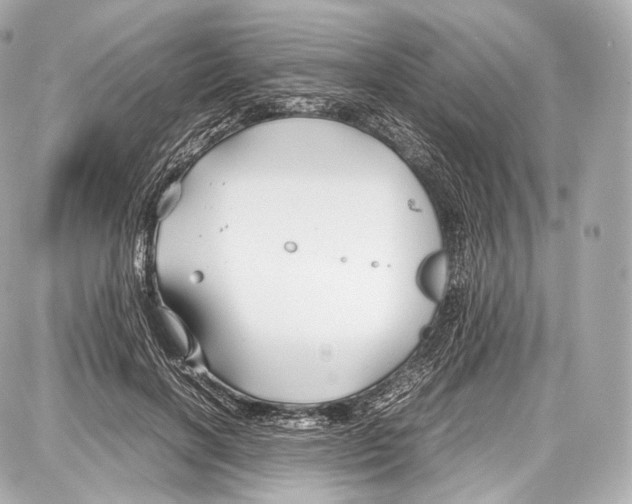 X0000086960646200705141627