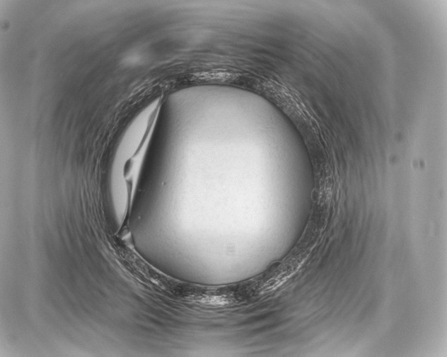 X0000086960647200705141627