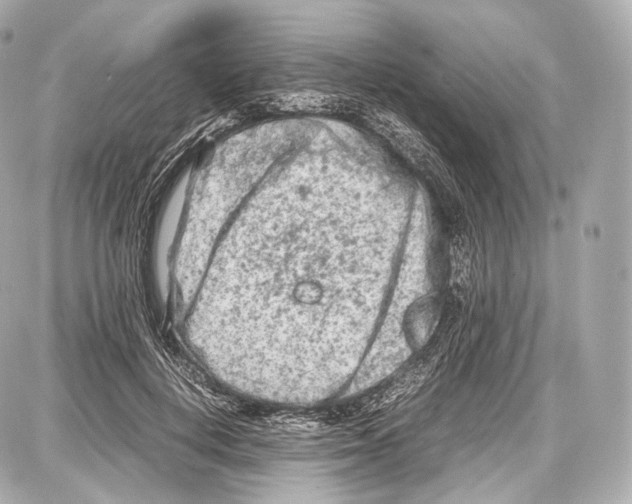 X0000086960648200705141627