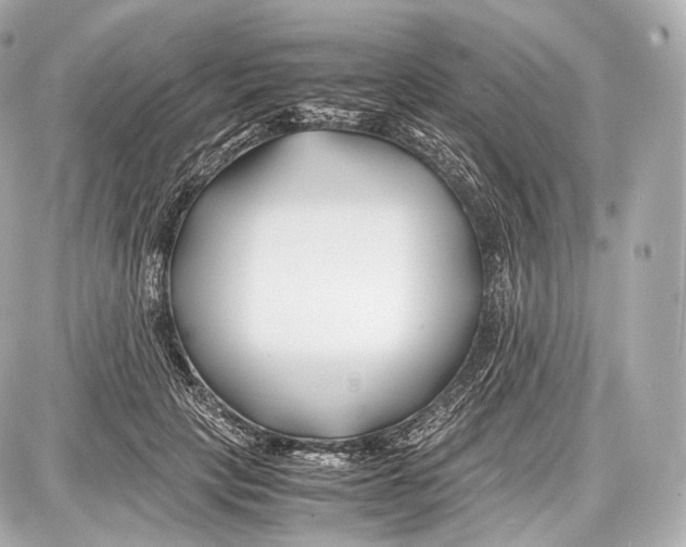 X0000086960649200705141627