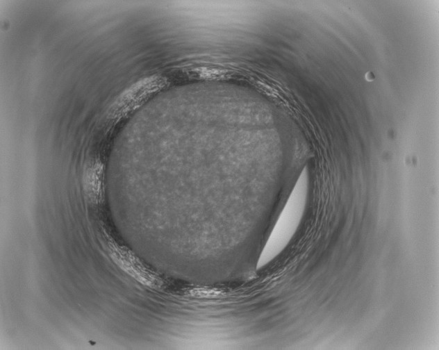 X0000086960650200705141627