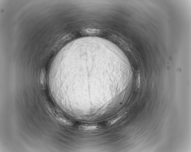 X0000086960651200705141627