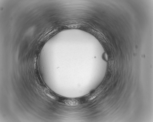 X0000086960652200705141627