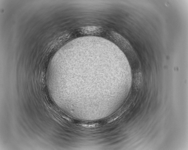 X0000086960653200705141627