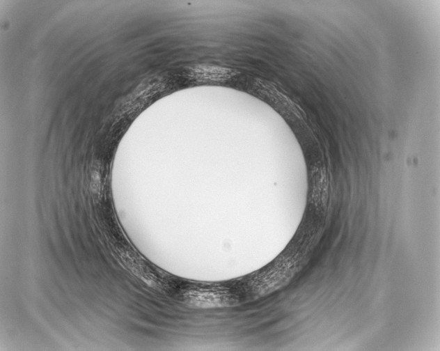 X0000086960655200705141627