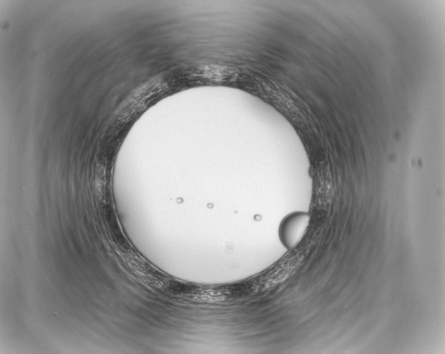 X0000086960656200705141627