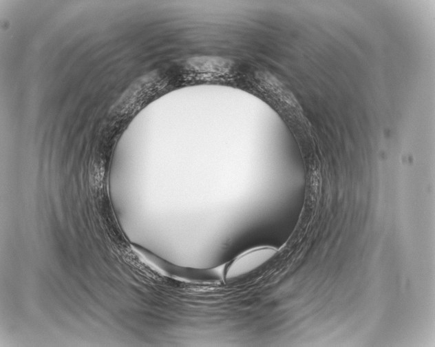 X0000086960657200705141627