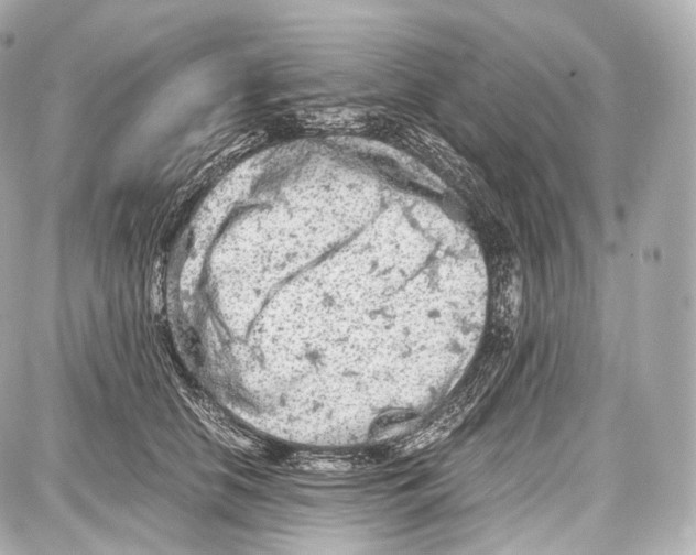 X0000086960658200705141627